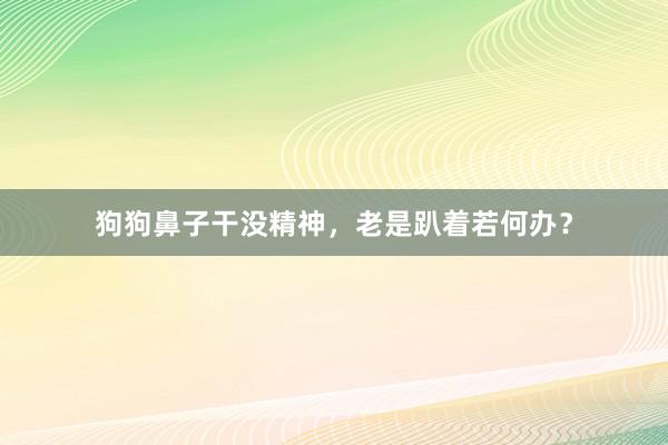 狗狗鼻子干没精神，老是趴着若何办？